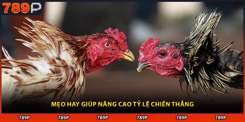 Mẹo hay giúp nâng cao tỷ lệ chiến thắng