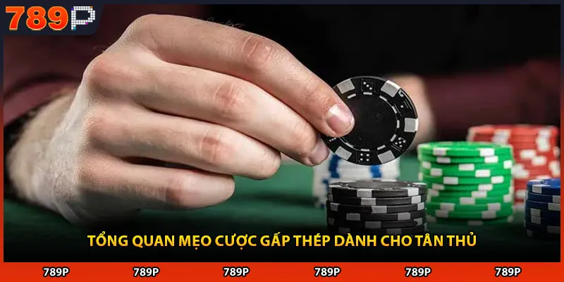 Tổng quan mẹo cược gấp thép dành cho tân thủ